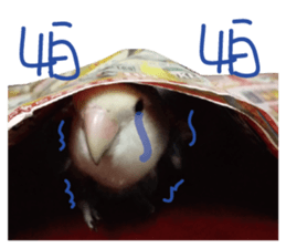 furkid sticker #14213996