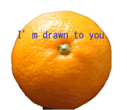 Opinion of oranges sticker #14214531