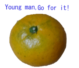 Opinion of oranges sticker #14214532