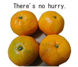 Opinion of oranges sticker #14214534