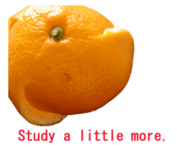 Opinion of oranges sticker #14214547