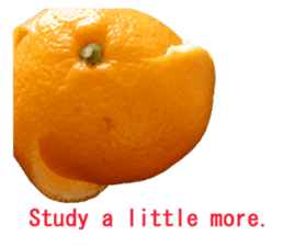 Opinion of oranges sticker #14214547