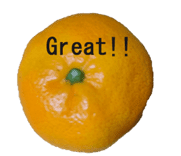 Opinion of oranges sticker #14214549