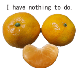 Opinion of oranges sticker #14214551