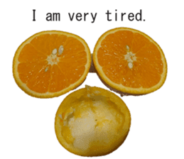 Opinion of oranges sticker #14214552