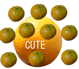 Opinion of oranges sticker #14214554