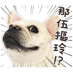 French Bulldog Mochi (The Real)