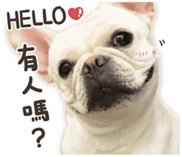 French Bulldog Mochi (The Real) sticker #14215470