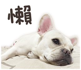 French Bulldog Mochi (The Real) sticker #14215472