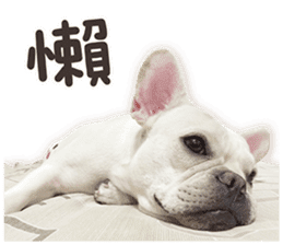 French Bulldog Mochi (The Real) sticker #14215472