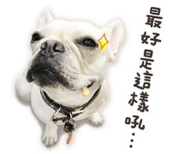 French Bulldog Mochi (The Real) sticker #14215475