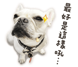 French Bulldog Mochi (The Real) sticker #14215475