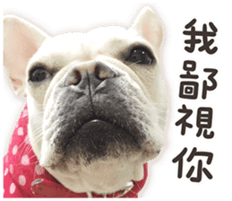 French Bulldog Mochi (The Real) sticker #14215477