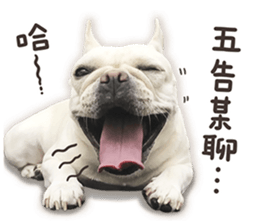 French Bulldog Mochi (The Real) sticker #14215479