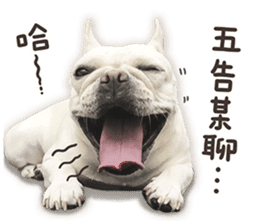 French Bulldog Mochi (The Real) sticker #14215479