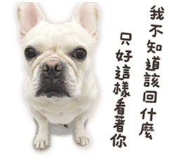 French Bulldog Mochi (The Real) sticker #14215481