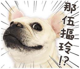French Bulldog Mochi (The Real) sticker #14215482