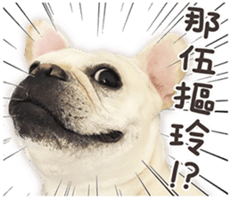 French Bulldog Mochi (The Real) sticker #14215482