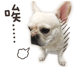French Bulldog Mochi (The Real) sticker #14215483