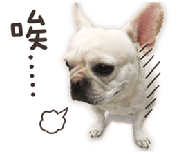 French Bulldog Mochi (The Real) sticker #14215483