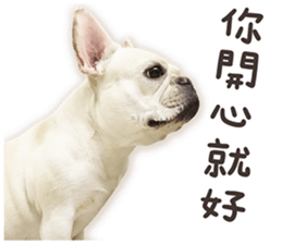 French Bulldog Mochi (The Real) sticker #14215484