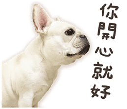 French Bulldog Mochi (The Real) sticker #14215484
