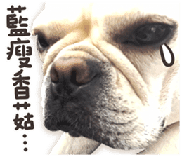 French Bulldog Mochi (The Real) sticker #14215485