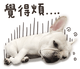 French Bulldog Mochi (The Real) sticker #14215488