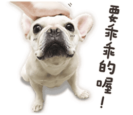 French Bulldog Mochi (The Real) sticker #14215489