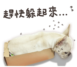 French Bulldog Mochi (The Real) sticker #14215490