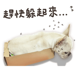 French Bulldog Mochi (The Real) sticker #14215490