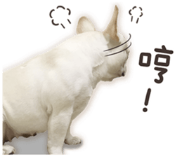 French Bulldog Mochi (The Real) sticker #14215491