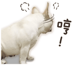 French Bulldog Mochi (The Real) sticker #14215491