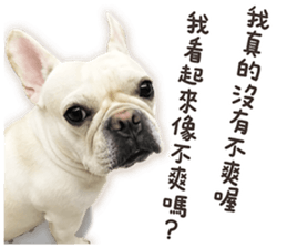 French Bulldog Mochi (The Real) sticker #14215492