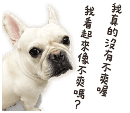 French Bulldog Mochi (The Real) sticker #14215492