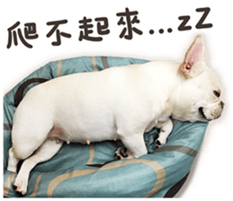 French Bulldog Mochi (The Real) sticker #14215493