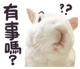 Bosstwo-CUTE Rabbit sticker #14216182