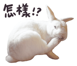 Bosstwo-CUTE Rabbit sticker #14216184