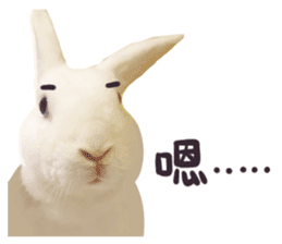 Bosstwo-CUTE Rabbit sticker #14216185