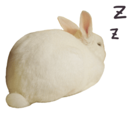 Bosstwo-CUTE Rabbit sticker #14216186