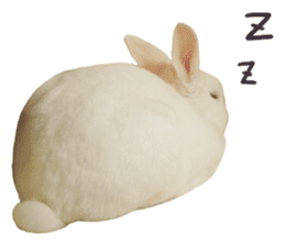 Bosstwo-CUTE Rabbit sticker #14216186