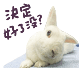 Bosstwo-CUTE Rabbit sticker #14216187