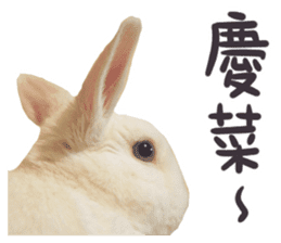 Bosstwo-CUTE Rabbit sticker #14216188