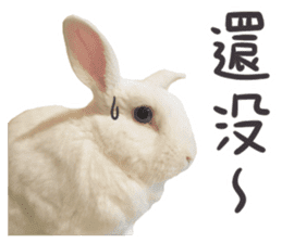 Bosstwo-CUTE Rabbit sticker #14216189