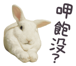Bosstwo-CUTE Rabbit sticker #14216190