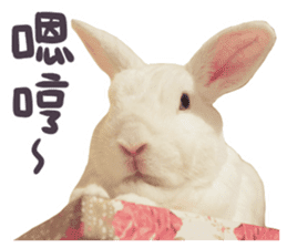 Bosstwo-CUTE Rabbit sticker #14216192