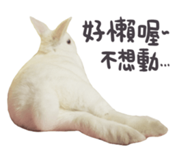 Bosstwo-CUTE Rabbit sticker #14216193