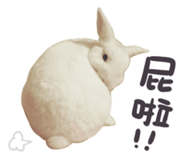 Bosstwo-CUTE Rabbit sticker #14216194