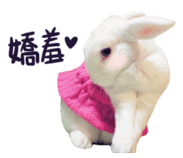 Bosstwo-CUTE Rabbit sticker #14216195