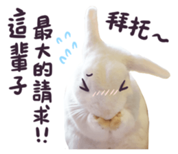 Bosstwo-CUTE Rabbit sticker #14216197